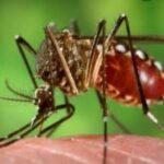 మూడు రోజుల్లో భారీ వర్షాలు