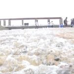 ఉద్యోగం వేటలో మనం చెయ్యకూడని విషయాలు – 1