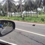 అమెరికన్ యూనివర్సిటీ డాక్టరేట్ ప్రదాన వేడుకలకు ప్రత్యేక అతిథిగా డాక్టర్ పసుపులేటి శంకర్