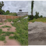 పోలూరు గ్రామంలో చెత్తాచెదారులతో నిండిన మురికి కాలువలు సంవత్సరాల్లో కానరాని పరిశుభ్రత…