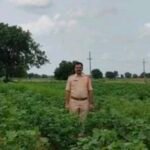 నారాయణఖేడ్ ఆగస్ట్ 02 : పూర్వ విద్యార్థుల ఆత్మీయ సమ్మేళనం