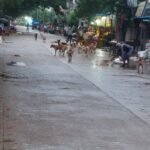 బి. కొత్తకోట: కాండ్లమడుగు క్రాస్ వద్ద రోడ్డు ప్రమాదం