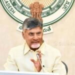 ప్రభుత్వ లాయర్లపై వేటు: సంచలనం సృష్టిస్తున్న క్రమశిక్షణ చర్యలు