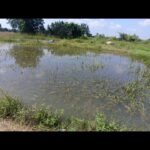 నంద్యాల దస్తావేజు లేఖర్ల సమ్మె