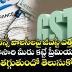 హ్రియానంద ఆశ్రమంలో 45 చండీ శరన్నవరాత్రులు