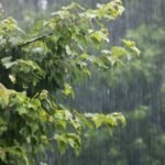 యంత్రాల మధ్య కాదు, మనసుల మధ్య జీవించాం