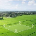 ఇకపై ఆధార్ సెంటర్లకు వెళ్లక్కర్లేదు! మొబైల్లోనే పేరు, అడ్రస్, నంబర్