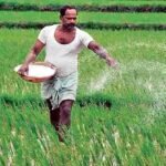 ఆక్వా కల్చర్‌కు ప్రత్యేక ప్రాధాన్యం – వైఎస్ఆర్సీపీ కీలక నిర్ణయం