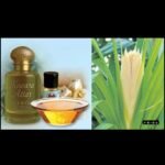 చావు బ్రతుకుల మధ్య DSP నళిని