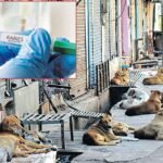 క్రికెట్ పోటీలను ప్రారంభించిన మార్కెట్ యార్డ్ వైస్ చైర్మన్… పచ్చర్ల కుమార్.