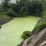 రక్త దాన శిబిరం ని విజయవంతం చేయండి :బీజేపీ జిల్లా అధ్యక్షులు నెల్లూరు కోటేశ్వరరావు పిలుపు