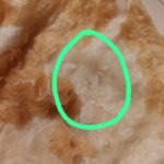 MGBS బస్ స్టేషన్ తాత్కాలిక ముసివేత