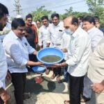 రోడ్డు ప్రమాదం లో ఇంజనీరింగ్ విద్యార్థి మృతి