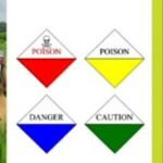 మూడో తరగతి నుంచే AI పాఠాలు!