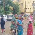 బీజేపీ పార్టీకి రంగారెడ్డి అర్బన్ జిల్లా కార్యదర్శి, చందానగర్ మాజీ కార్పొరేటర్ బొబ్బ నవత రెడ్డి రాజీనామా నవంబర్ 2న కేటీఆర్ సమక్షంలో బీఆర్ఎస్ పార్టీలో చేరనున్నట్లు సమాచారం