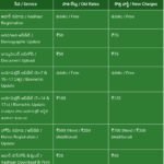 శ్రీ వెంగమాంబ పేరంటాలు తల్లి సేవలో మంత్రి ఆనం ఎమ్మెల్యే కాకర్ల..! ఆలయ అభివృద్ధికి ప్రత్యేక ప్రణాళిక రచించిన, దేవాదాయ శాఖ మంత్రి ఆనం రామనారాయణ రెడ్డి..! శ్రీవారి ట్రస్టు ద్వారా నిధులను సమకూర్చి ఆలయ అభివృద్ధికి కృషి చేస్తాం..! మంత్రి ఆనం రామనారాయణ రెడ్డి, ఎమ్మెల్యే శ్రీ కాకర్ల సురేష్..!