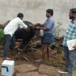 బాల్య వివాహాలు, బాల కార్మిక వ్యవస్థ నిర్మూలన అవగాహన కార్యక్రమం.