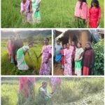 చంద్రమాంపల్లిలో పంట నష్ట తీవ్రతను అంచనా వేస్తున అగ్రికల్చర్ ఆఫీసర్ ప్రమోద.