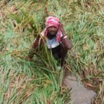 కల్వకుంట్ల కవిత జనం బాట ఘన విజయం –రంగారెడ్డి జిల్లా జాగృతి అధ్యక్షుడు కప్పాటి పాండురంగా రెడ్డి