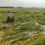 సహకార సంఘాల పాలకులకు అవగాహన సదస్సు