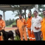 వాసవి కన్యకా పరమేశ్వరి దేవిని దర్శించుకున్న రాజ్యసభ సభ్యులు మేడా