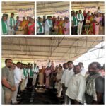 తగినంత యూరియా అందుబాటులో కలదు ఏవో హిమబిందు.