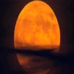 శ్రీకాళహస్తిలో యువత జనసేన పార్టీలో చేరికలు