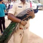 ఆర్టిఐ బలోపేతానికి కృషి చేయాలని ప్రతిజ్ఞ