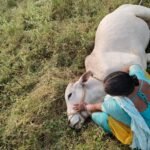 సిద్ధార్థ్ అకడెమీ ఆఫ్ జనరల్ అండ్ టెకకల్ ఎడ్యుకేషన్