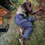 ఎంబీబీఎస్ సీటును సాధించిన నలుగురుపేద విద్యార్థులకు ఆర్ధిక సహాయం అందించిన.ఈ ఎల్ వి భాస్కర్ ఫౌండేషన్