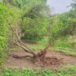 మానవత్వం చాటుకున్న డ్రైవర్ల యూనియన్