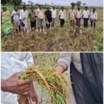 ఏపీలో వర్క్ ఫ్రమ్ హోమ్ అప్లికేషన్లపై ప్రభుత్వ కీలక అప్డేట్ – దరఖాస్తు చేసుకున్న వారికి త్వరలో పరీక్షలు నిర్వహణకు సిద్దం