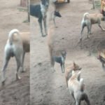 పదోవ తరగతి ఫలితాల్లో వంద శాతం ఉత్తర్ణత సాధించాలి