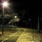 *శివపార్వతుల ఆశీస్సులు ప్రజలందరిపై ఉండాలి – ఎంపీ వేమిరెడ్డి ప్రభాకర్ రెడ్డి*