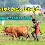 రూ.2000 నోట్లలో 98.37% తిరిగి రావాలి !రూ.5817 కోట్లు ఇంకా చలామణిలో – RBI