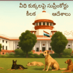 పార్టీని నిర్లక్ష్యం చేయొద్దు – నారా లోకేష్