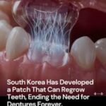 నల్గొండ కలెక్టరేట్ కు వచ్చిన ఎన్నికల సాధారణ పరిశీలకురాలు