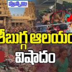 వెంకటేశ్వర స్వామి వారి ఆలయంలో తొక్కిసలాట లో మరణించిన వారి ఆత్మలకు శాంతి కలగాలి