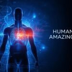 గంగమ్మ వాగు వంతెన ఆకస్మిక తనిఖీ: కలెక్టర్ ఆశిష్ సాంగ్వాన్ చర్యలకు ఆదేశాలు