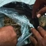 పాఠశాల నిర్మాణ పనులను తొందరగా పూర్తి చేయాలన్న: కలెక్టర్