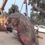 మెడికల్ కాలేజీలపై వైసీపీ డ్రామాలు – ప్రజాక్షేత్రంలో తిప్పికొట్టాలి