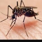 ప్రజలే నా దేవుళ్లు.. నిరంతరం ప్రజాసేవే మేడిపల్లి నక్కర్త నా తల్లిలాంటిది’ ఆలంపల్లి లావణ్య నర్సింహా