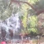 డిసిసి అధ్యక్షుని సన్మానించిన k. శ్రీ హరిరావు