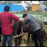యువగళం పాదయాత్ర ప్రారంభమై నేటికీ 3 సంవత్సరాలు పూర్తి అయిన సందర్బంగా నారా లోకేష్ కి జన్మదిన శుభాకాంక్షలు తెలియజేసారు