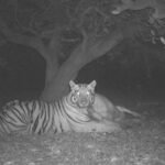 జనవరి 26వ తారీకున గణతంత్ర దినోత్సవ వేడుకల్లో ప్రతి పాఠశాల యందు విద్యార్థుల ముందు భారత రాజ్యాంగాన్ని ప్రదర్శించాలి… భీమ్ ఆర్మీ