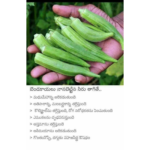 నకిరేకల్ లో చైన్ స్నాచర్స్ హల్ చల్