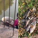 ప్రచారానికి కౌంట్‌డౌన్… ఖమ్మం జిల్లాలో బీజేపీ ఒంటరి పోరుకు అనుకూల వాతావరణం?