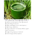 బడ్జెట్ 2026లో AIకి భారీ ప్రాధాన్యం