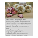 పనస పండు గింజలు – వృథా చేయకండి, ఆరోగ్యాన్ని పొందండి