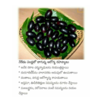 గోటుకోల (సరస్వతి ఆకు) – మెదడు శక్తిని పెంచే ఔషధ మొక్క